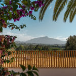 Villas de 4 dormitorios en venta en Guadalmina Alta – R5121763
