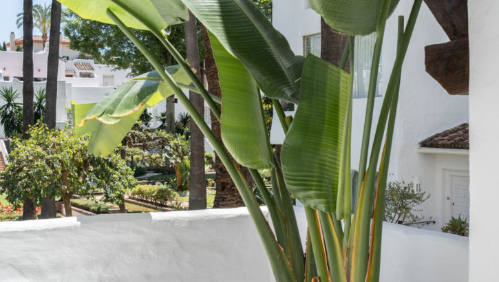 2 bedroom Apartments for sale in Marbella – R5063005 in 