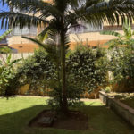 1 bedroom Apartments for sale in Marbella – R5112283
