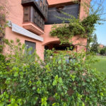 Apartamentos de 2 dormitorios en venta en Hacienda del Sol – R5121781