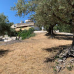 Plots for sale in Elviria – R5118985