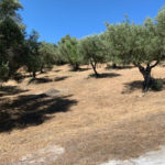 Plots for sale in Elviria – R5118985