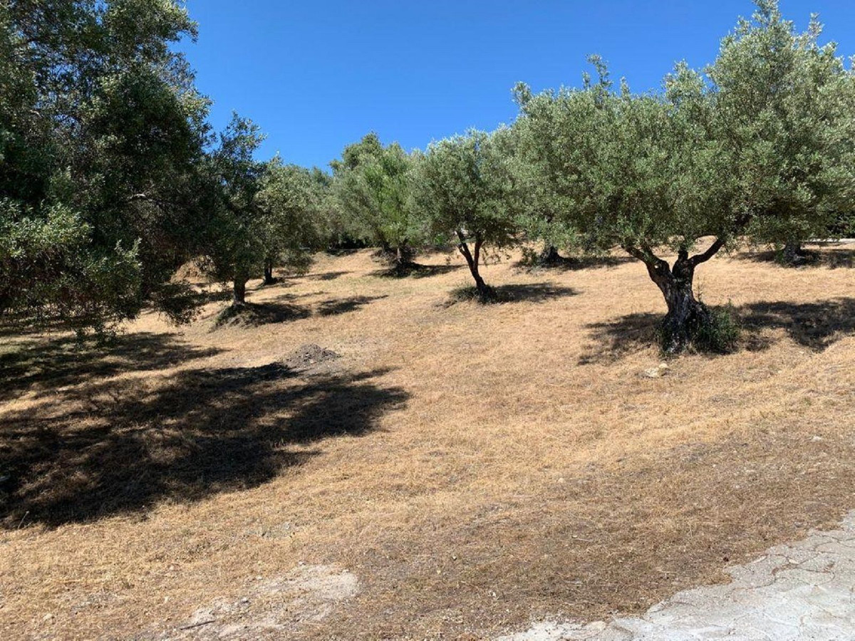Plots for sale in Elviria – R5118985