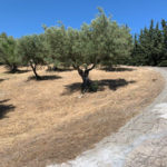 Plots for sale in Elviria – R5118985
