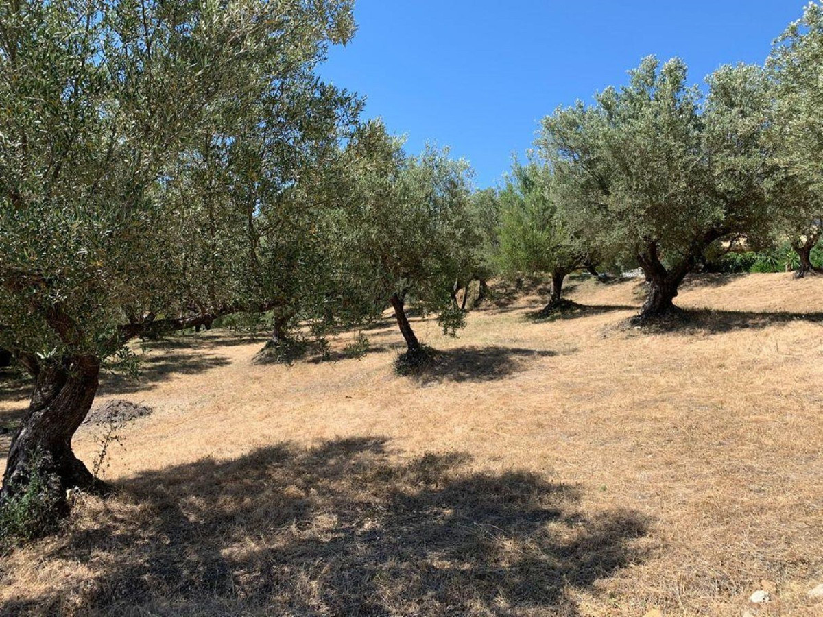 Plots for sale in Elviria – R5118985