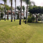 2 bedroom Apartments for sale in Selwo – R5131519