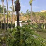 2 bedroom Apartments for sale in Selwo – R5131519