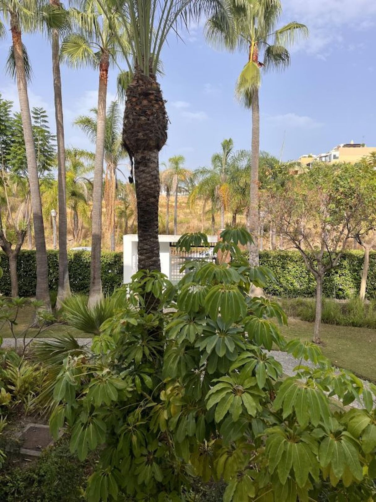 2 bedroom Apartments for sale in Selwo – R5131519