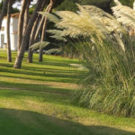 Apartamentos de 2 dormitorios en venta en Calahonda – R5135827