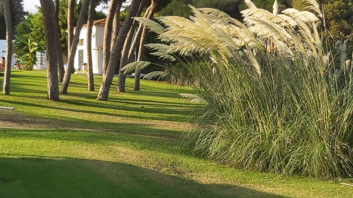 Apartamentos de 2 dormitorios en venta en Calahonda – R5135827