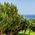 Adosados de 3 dormitorios en venta en Marbella – R5159635