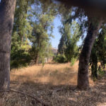 Plots for sale in Marbella – R5161597