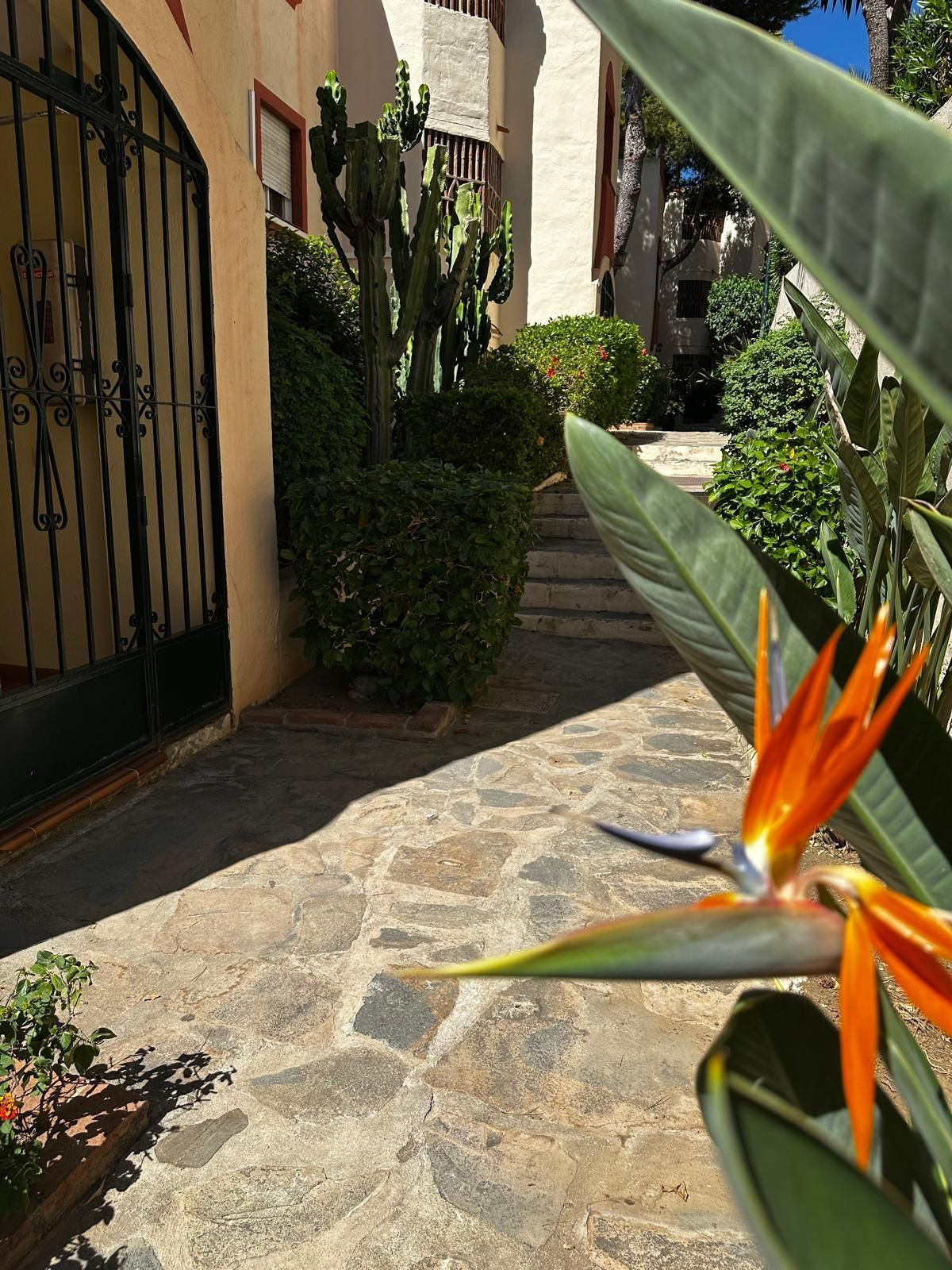 2 bedroom Apartments for sale in Riviera del Sol – R5163772