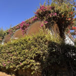 3 bedroom Villas for sale in Marbesa – R5185990
