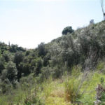 Plots for sale in El Rosario – R2444063