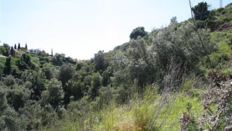 Plots for sale in El Rosario – R2444063