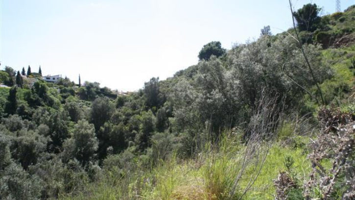 Plots for sale in El Rosario – R2444063 in 