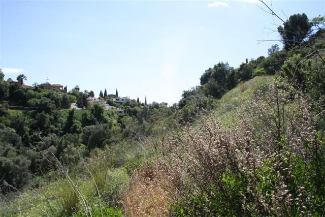 Plots for sale in El Rosario – R2444063