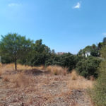 Plots for sale in Elviria – R5181124