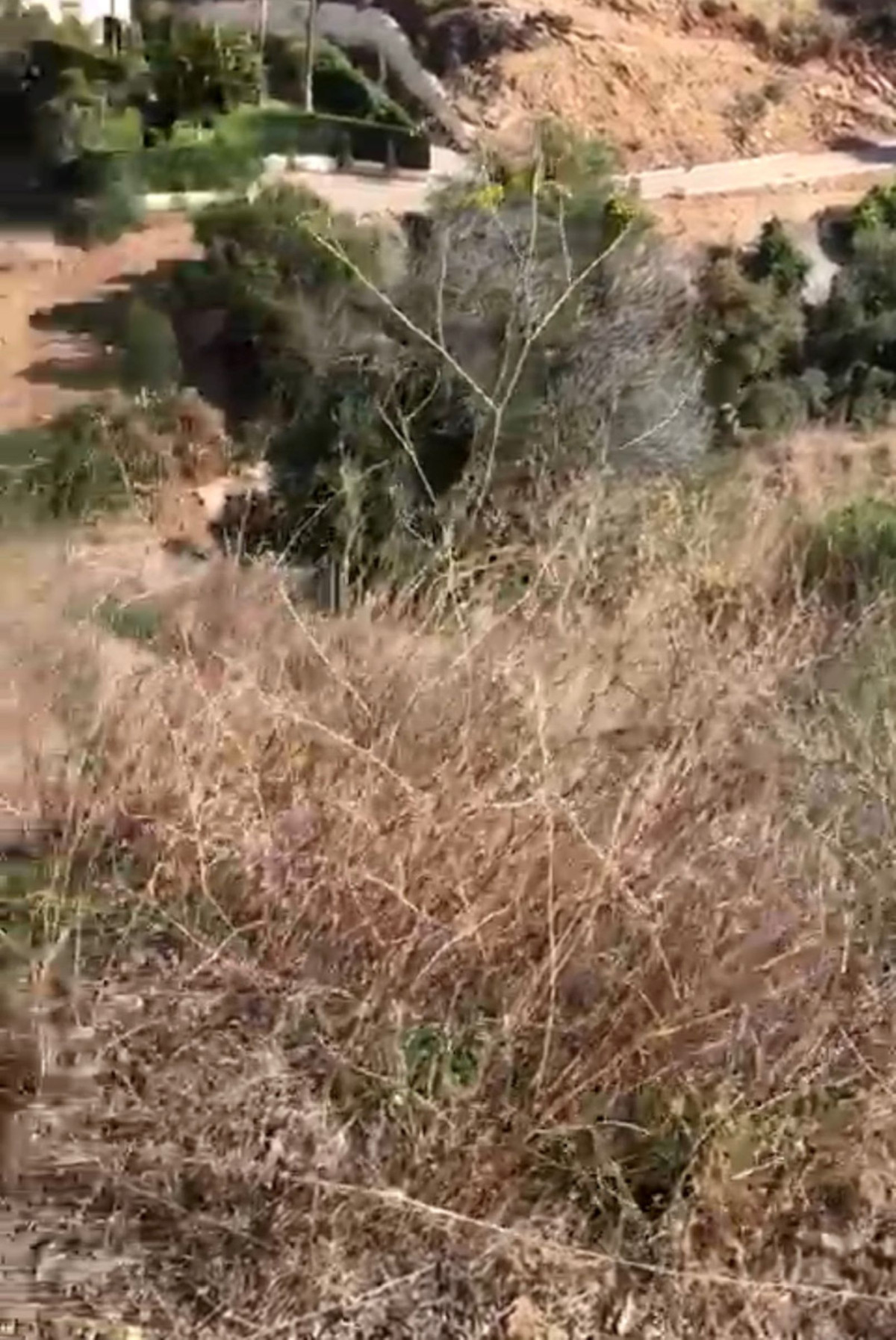 Parcelas en venta en El Rosario – R3678863