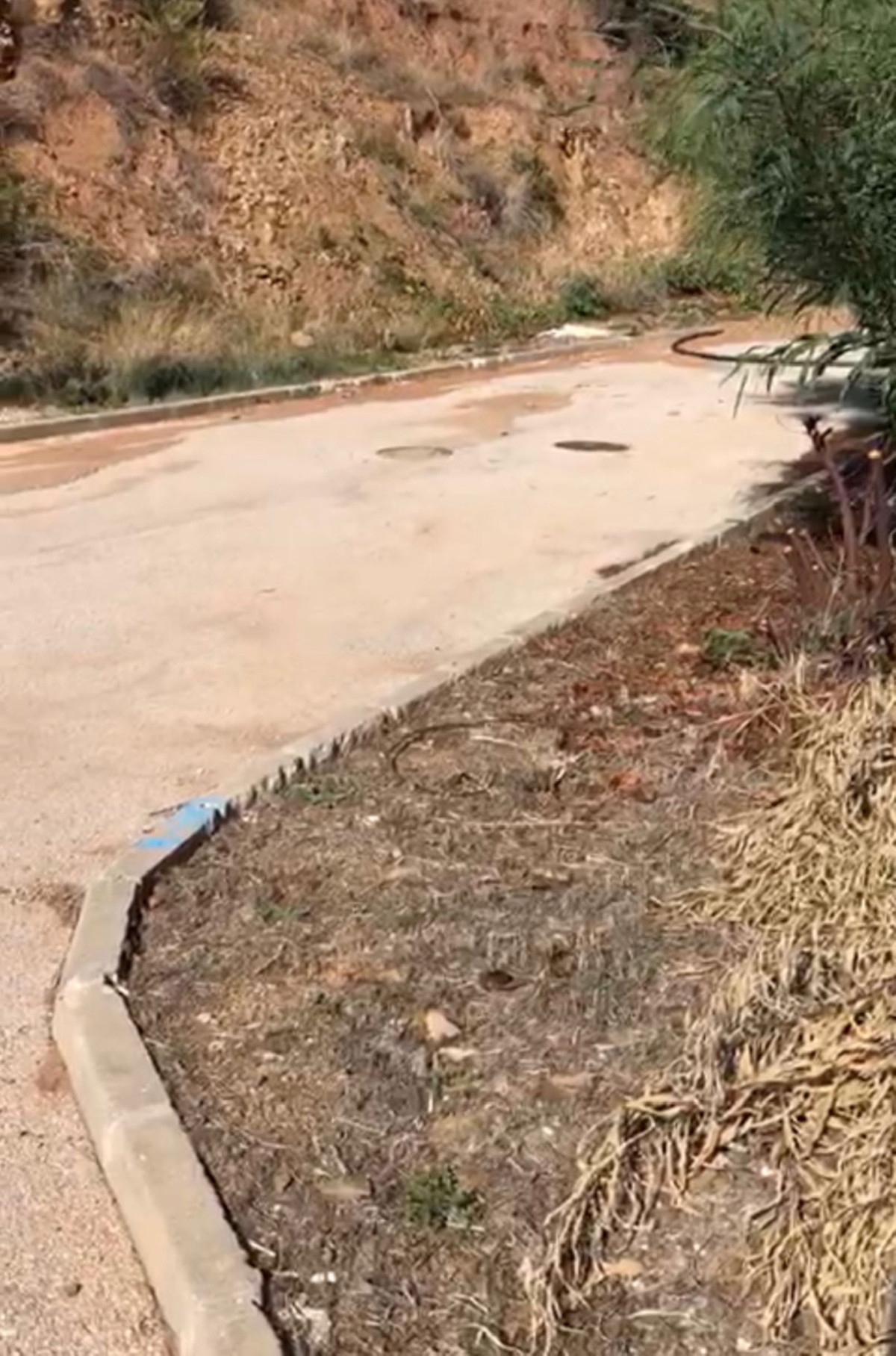 Parcelas en venta en El Rosario – R3678863