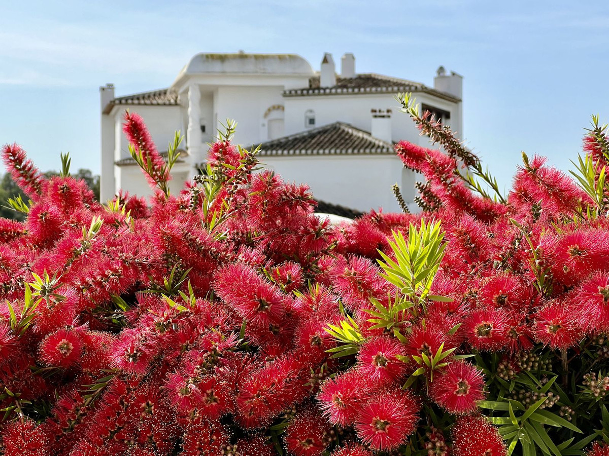 1 bedroom Apartments for sale in Elviria – R5210686 1 bedroom Apartments for sale in Elviria – R5210686