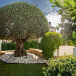 6 bedroom Villas for sale in Guadalmina Baja – R5209114 6 bedroom Villas for sale in Guadalmina Baja – R5209114