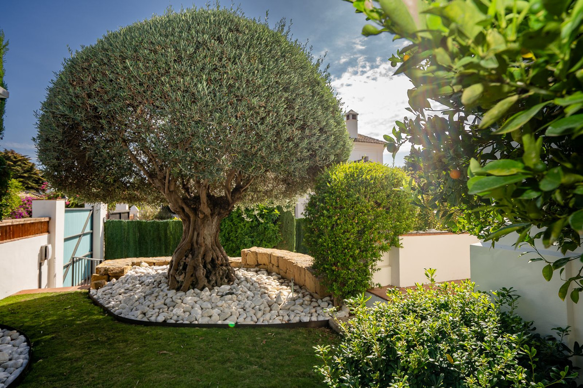 6 bedroom Villas for sale in Guadalmina Baja – R5209114 6 bedroom Villas for sale in Guadalmina Baja – R5209114