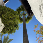 Apartamentos de 2 dormitorios en venta en Marbella – R5181655