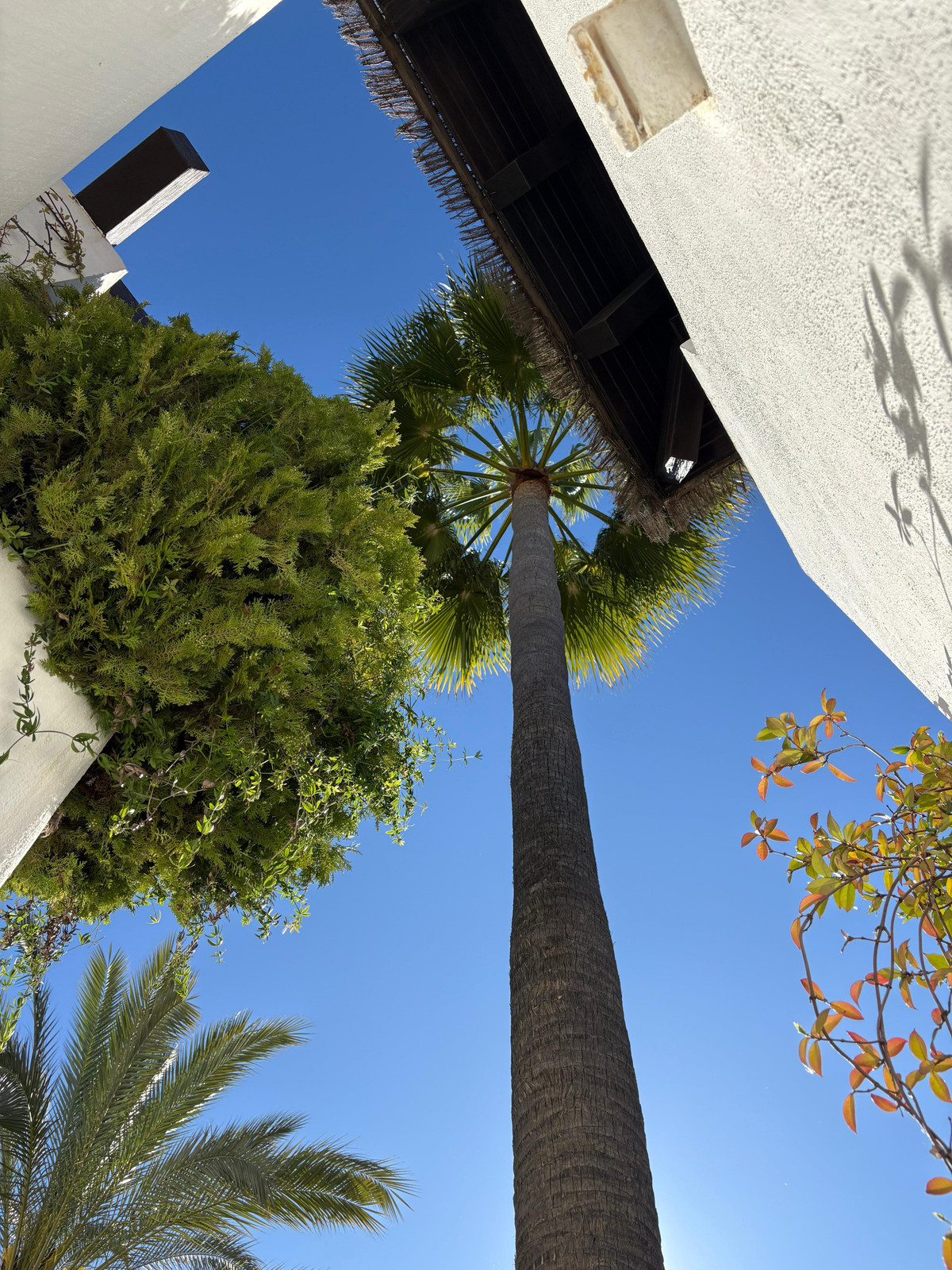 Apartamentos de 2 dormitorios en venta en Marbella – R5181655