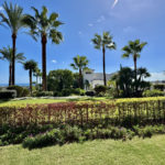 2 bedroom Apartments for sale in Los Flamingos – R5202556 2 bedroom Apartments for sale in Los Flamingos – R5202556