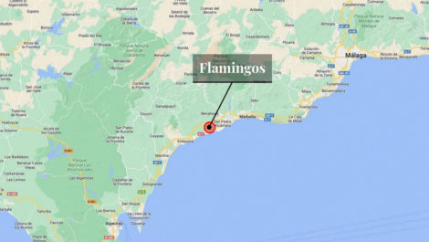 Plots for sale in Los Flamingos – R4506721