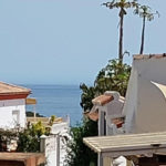 4 bedroom Semi-detached for sale in Calahonda – R5025967 4 bedroom Semi-detached for sale in Calahonda – R5025967