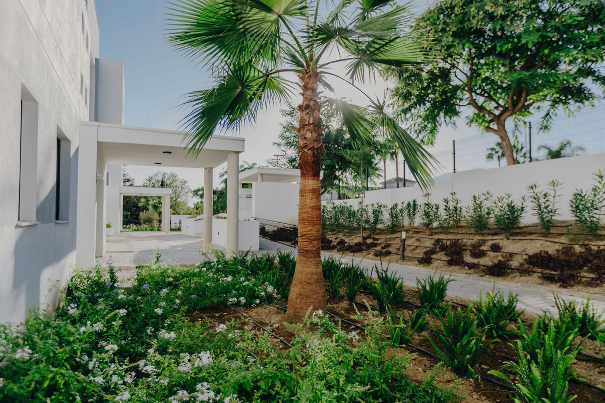 Apartamentos de 2 dormitorios en venta en Selwo – R5156191