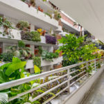 2 bedroom Apartments for sale in Milla de Oro – R5253766