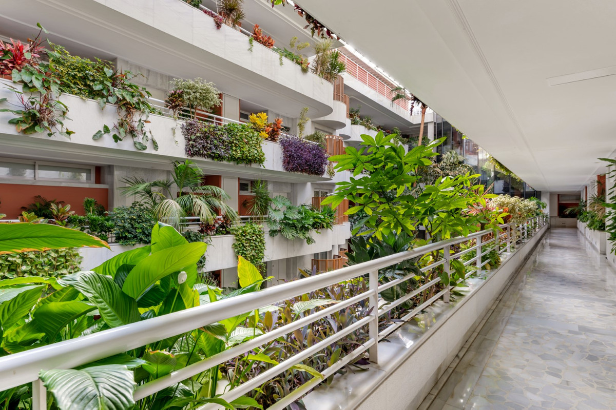 2 bedroom Apartments for sale in Milla de Oro – R5253766