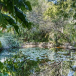 4 bedroom Apartments for sale in Guadalmina Baja – R5221423