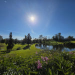 2 bedroom Apartments for sale in Guadalmina Alta – R5249113