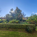 3 bedroom Apartments for sale in Guadalmina Alta – R5258335 3 bedroom Apartments for sale in Guadalmina Alta – R5258335