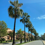 3 bedroom Apartments for sale in Hacienda del Sol – R4987051 3 bedroom Apartments for sale in Hacienda del Sol – R4987051