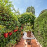 3 bedroom Townhouses for sale in Milla de Oro – R5222767 3 bedroom Townhouses for sale in Milla de Oro – R5222767