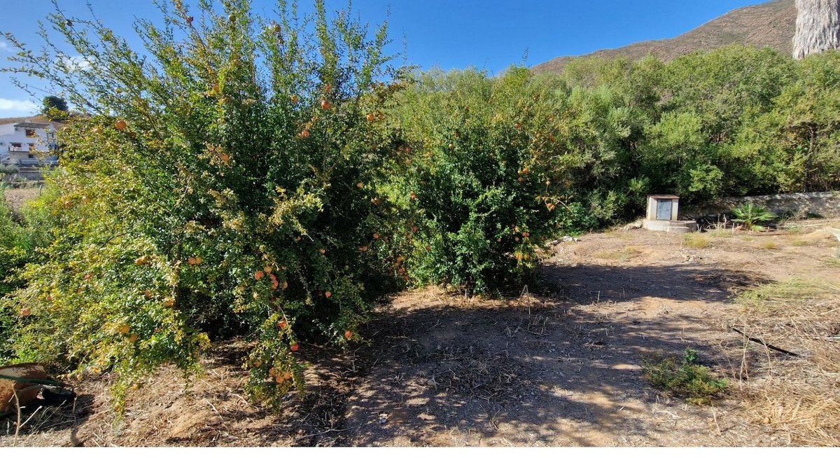 Villas de 3 dormitorios en venta en La Cala de Mijas – R5291896