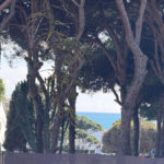 Parcelas de 20 dormitorios en venta en Calahonda – R5285821