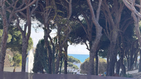 Parcelas de 20 dormitorios en venta en Calahonda – R5285821