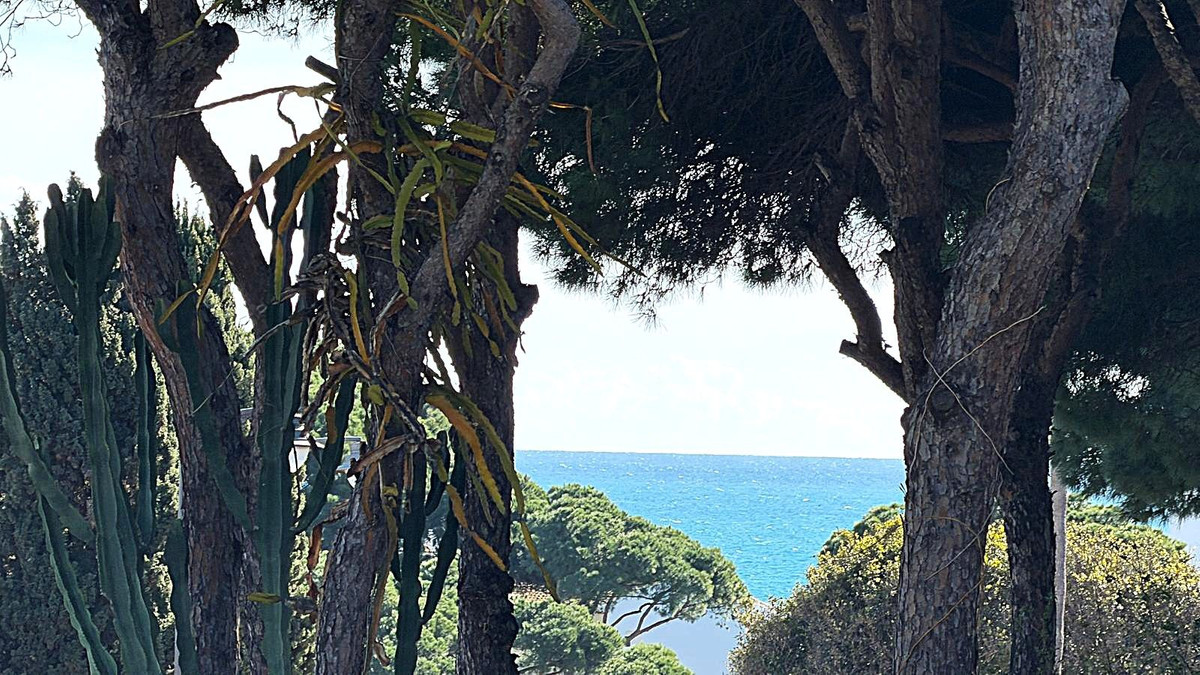 Parcelas de 20 dormitorios en venta en Calahonda – R5285821