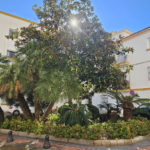 Apartamentos de 3 dormitorios en venta en Marbella – R5287930 Apartamentos de 3 dormitorios en venta en Marbella – R5287930