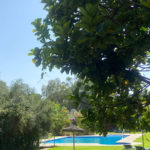 5 bedroom Villas for sale in Calahonda – R5080243 5 bedroom Villas for sale in Calahonda – R5080243