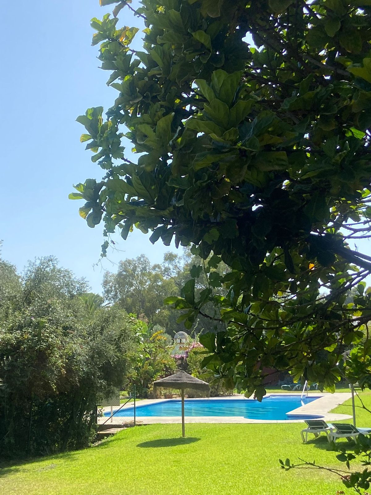 5 bedroom Villas for sale in Calahonda – R5080243 5 bedroom Villas for sale in Calahonda – R5080243