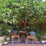 3 bedroom Townhouses for sale in Milla de Oro – R4764316