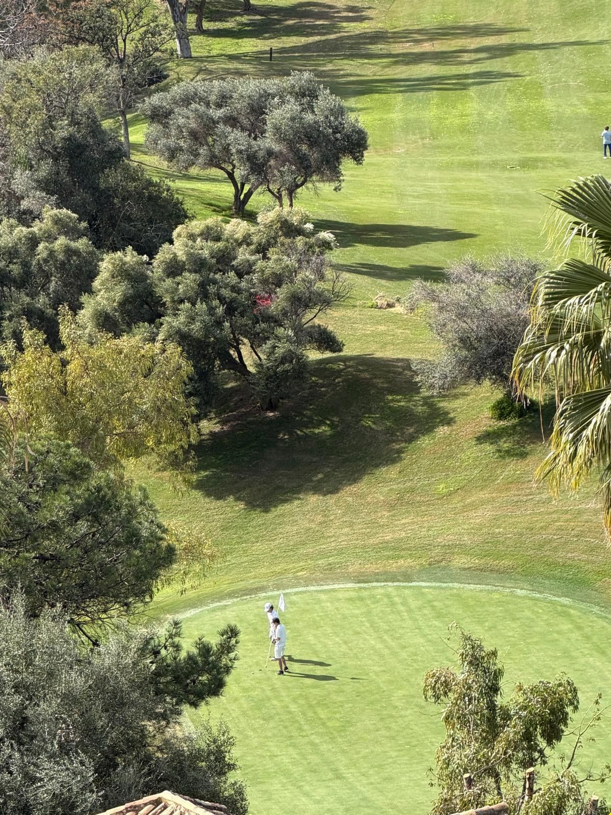 Aticos de 2 dormitorios en venta en La Quinta – R5296318